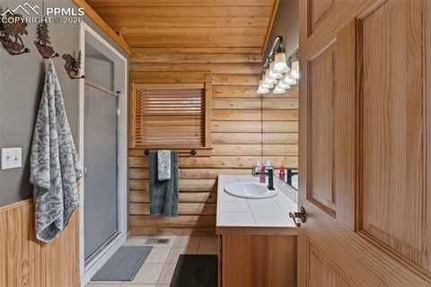 Tiny photo for 918 Douglas Fir Drive, Woodland Park, CO 80863 (MLS # 4060771)