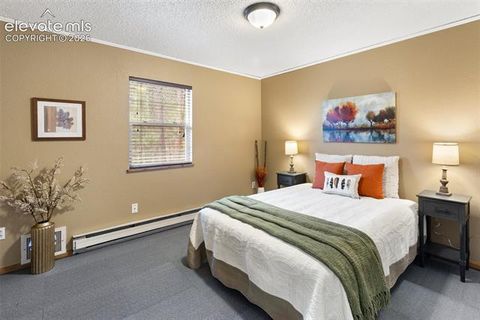 Tiny photo for 1303 W Midland Avenue, Woodland Park, CO 80863 (MLS # 9483054)