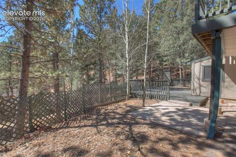 Tiny photo for 1303 W Midland Avenue, Woodland Park, CO 80863 (MLS # 9483054)