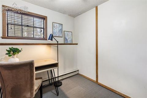 Tiny photo for 1303 W Midland Avenue, Woodland Park, CO 80863 (MLS # 9483054)