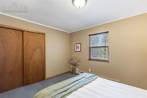 Tiny photo for 1303 W Midland Avenue, Woodland Park, CO 80863 (MLS # 9483054)
