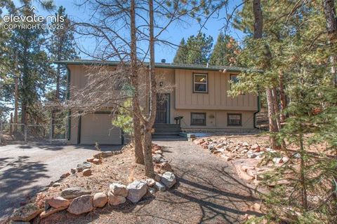 Photo of 1303 W Midland Avenue, Woodland Park, CO 80863 (MLS # 9483054)
