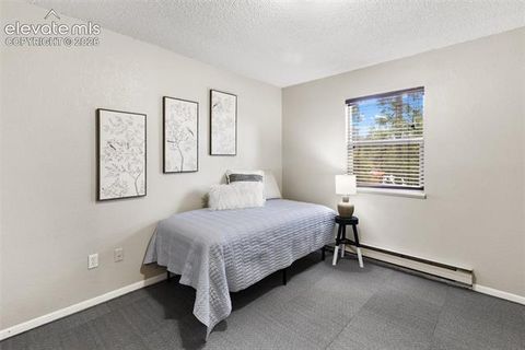 Tiny photo for 1303 W Midland Avenue, Woodland Park, CO 80863 (MLS # 9483054)