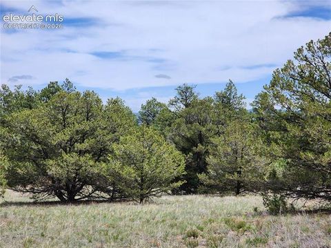 Photo of 000 7TH Trail, Cotopaxi, CO 81223 (MLS # 5193340)