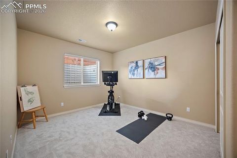 Tiny photo for 13421 Crane Canyon Loop, Colorado Springs, CO 80921 (MLS # 6750440)