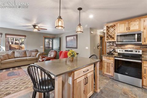 Tiny photo for 523 N Walnut Street, Woodland Park, CO 80863 (MLS # 4764229)