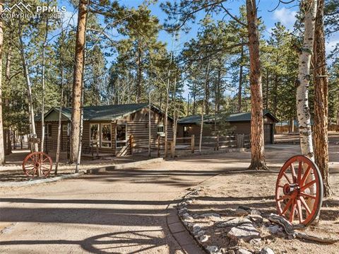 Photo of 523 N Walnut Street, Woodland Park, CO 80863 (MLS # 4764229)