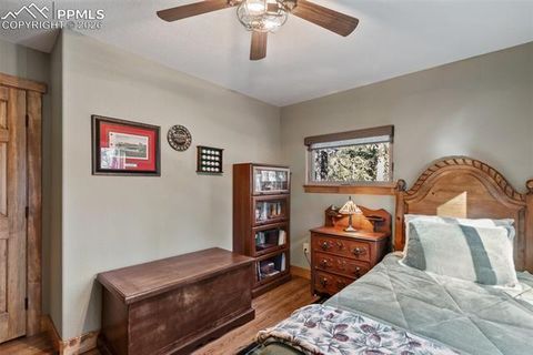 Tiny photo for 523 N Walnut Street, Woodland Park, CO 80863 (MLS # 4764229)
