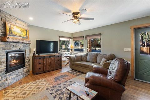 Tiny photo for 523 N Walnut Street, Woodland Park, CO 80863 (MLS # 4764229)