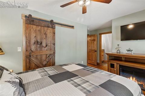 Tiny photo for 523 N Walnut Street, Woodland Park, CO 80863 (MLS # 4764229)
