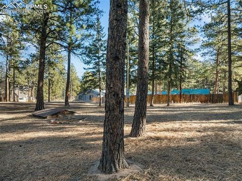 Tiny photo for 523 N Walnut Street, Woodland Park, CO 80863 (MLS # 4764229)