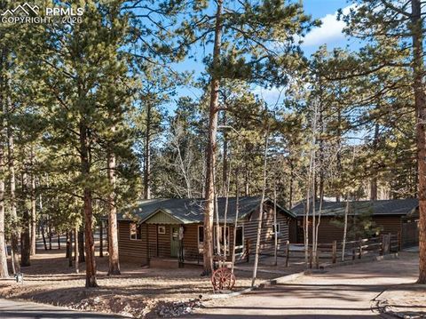 Tiny photo for 523 N Walnut Street, Woodland Park, CO 80863 (MLS # 4764229)