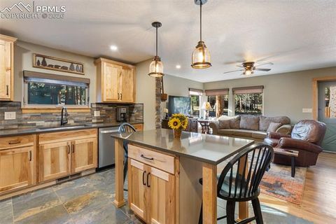 Tiny photo for 523 N Walnut Street, Woodland Park, CO 80863 (MLS # 4764229)