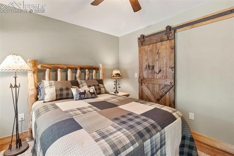 Tiny photo for 523 N Walnut Street, Woodland Park, CO 80863 (MLS # 4764229)