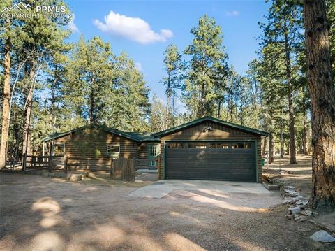 Tiny photo for 523 N Walnut Street, Woodland Park, CO 80863 (MLS # 4764229)