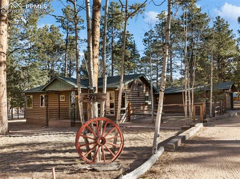 Tiny photo for 523 N Walnut Street, Woodland Park, CO 80863 (MLS # 4764229)