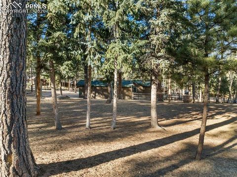 Tiny photo for 523 N Walnut Street, Woodland Park, CO 80863 (MLS # 4764229)