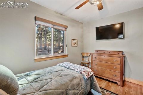 Tiny photo for 523 N Walnut Street, Woodland Park, CO 80863 (MLS # 4764229)