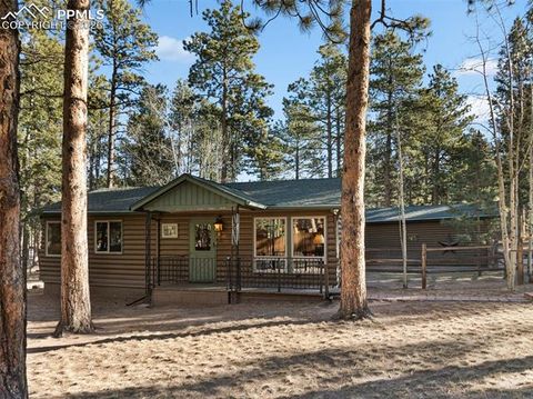 Tiny photo for 523 N Walnut Street, Woodland Park, CO 80863 (MLS # 4764229)