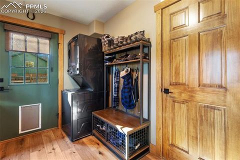 Tiny photo for 523 N Walnut Street, Woodland Park, CO 80863 (MLS # 4764229)