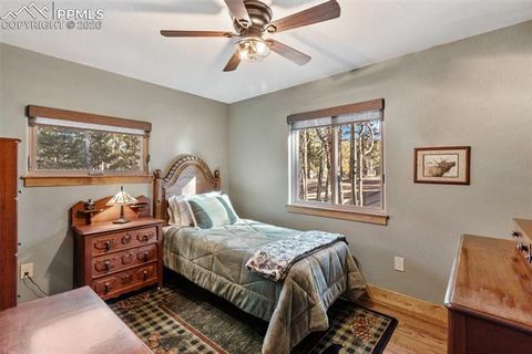 Tiny photo for 523 N Walnut Street, Woodland Park, CO 80863 (MLS # 4764229)
