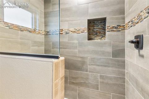 Tiny photo for 523 N Walnut Street, Woodland Park, CO 80863 (MLS # 4764229)