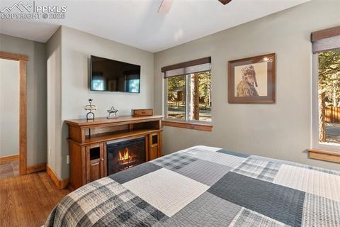Tiny photo for 523 N Walnut Street, Woodland Park, CO 80863 (MLS # 4764229)