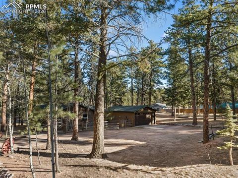 Tiny photo for 523 N Walnut Street, Woodland Park, CO 80863 (MLS # 4764229)