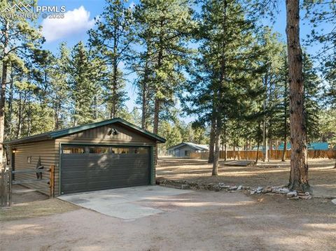 Tiny photo for 523 N Walnut Street, Woodland Park, CO 80863 (MLS # 4764229)