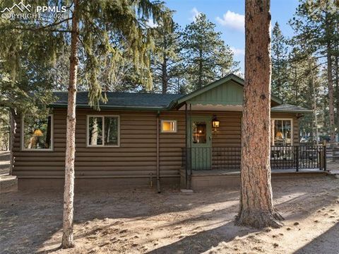 Tiny photo for 523 N Walnut Street, Woodland Park, CO 80863 (MLS # 4764229)