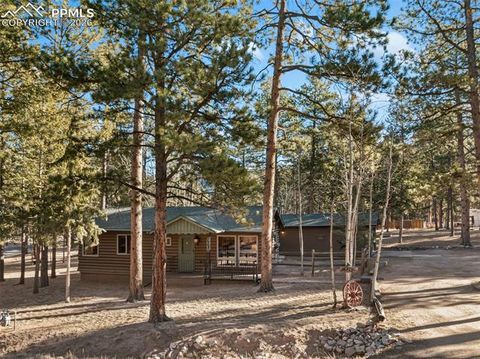 Tiny photo for 523 N Walnut Street, Woodland Park, CO 80863 (MLS # 4764229)