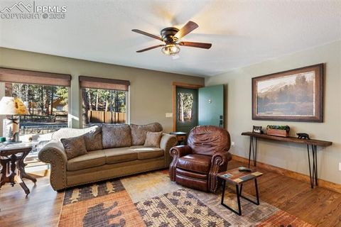 Tiny photo for 523 N Walnut Street, Woodland Park, CO 80863 (MLS # 4764229)