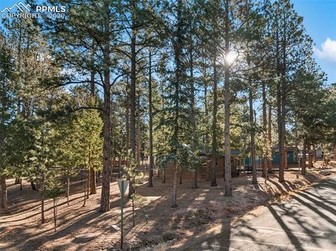 Tiny photo for 523 N Walnut Street, Woodland Park, CO 80863 (MLS # 4764229)