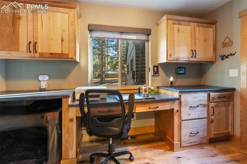 Tiny photo for 523 N Walnut Street, Woodland Park, CO 80863 (MLS # 4764229)