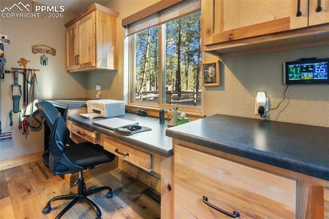 Tiny photo for 523 N Walnut Street, Woodland Park, CO 80863 (MLS # 4764229)