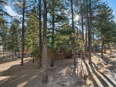 Tiny photo for 523 N Walnut Street, Woodland Park, CO 80863 (MLS # 4764229)
