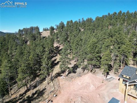 Photo of 1420 Red Haven Place, Woodland Park, CO 80863 (MLS # 3402895)