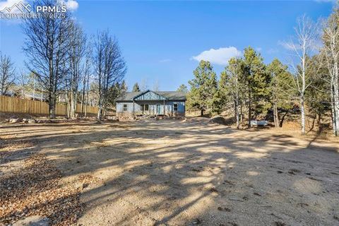 Tiny photo for 237 Columbine Road, Woodland Park, CO 80863 (MLS # 6458603)