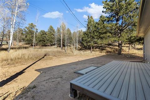 Tiny photo for 237 Columbine Road, Woodland Park, CO 80863 (MLS # 6458603)