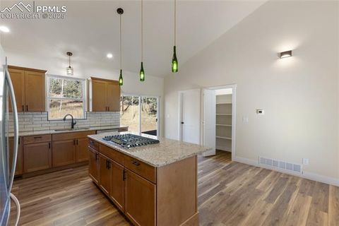 Tiny photo for 237 Columbine Road, Woodland Park, CO 80863 (MLS # 6458603)