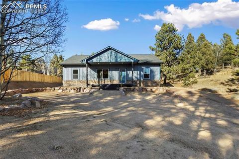 Tiny photo for 237 Columbine Road, Woodland Park, CO 80863 (MLS # 6458603)