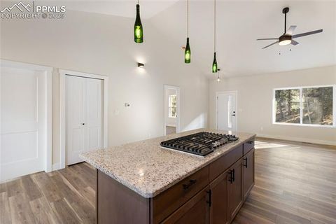 Tiny photo for 237 Columbine Road, Woodland Park, CO 80863 (MLS # 6458603)
