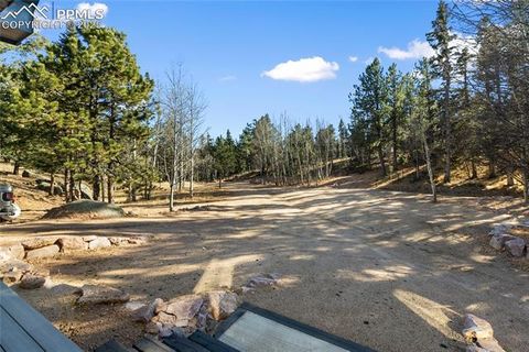 Tiny photo for 237 Columbine Road, Woodland Park, CO 80863 (MLS # 6458603)