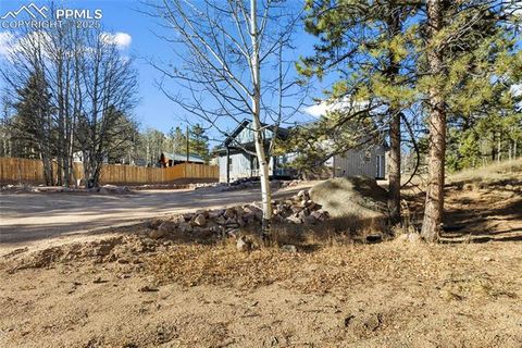 Tiny photo for 237 Columbine Road, Woodland Park, CO 80863 (MLS # 6458603)