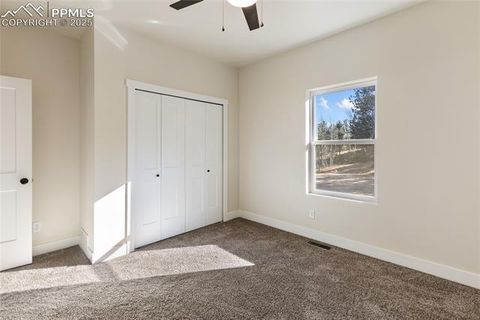 Tiny photo for 237 Columbine Road, Woodland Park, CO 80863 (MLS # 6458603)