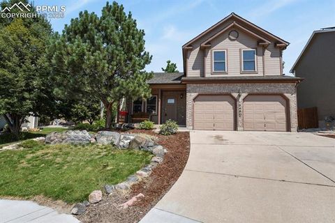 15450 Holbein Drive Colorado Springs CO 80921