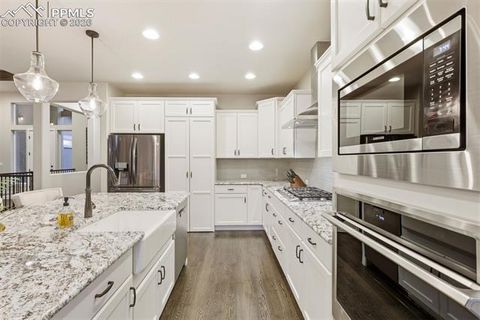 Tiny photo for 16224 Sunrise Glory Lane, Monument, CO 80132 (MLS # 5446898)
