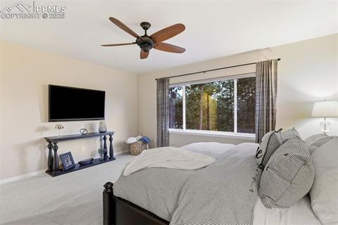 Tiny photo for 16224 Sunrise Glory Lane, Monument, CO 80132 (MLS # 5446898)