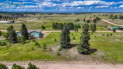 Photo of 1129 Will Scarlet Drive, Divide, CO 80814 (MLS # 6129010)