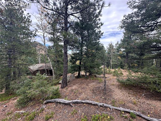 316 Summit Ridge Road